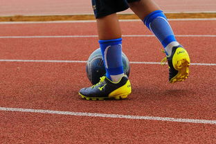 华体会登录入口-CBA新赛季全面开打各队实力全面升级，cba新赛季有哪些球队