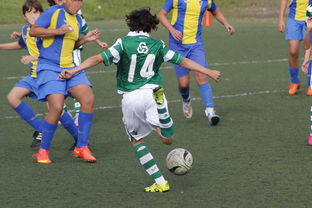 华体会app下载入口-女子冰球赛中，中国女队逆转韩国展现强大实力，中国女子冰球联赛